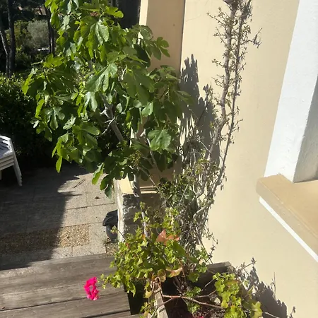 Hébergement de vacances Le Nid Bleu Sanary-sur-Mer
