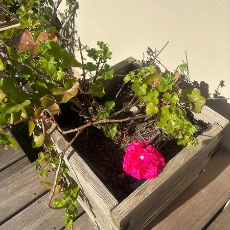 Casa vacanze Le Nid Bleu *