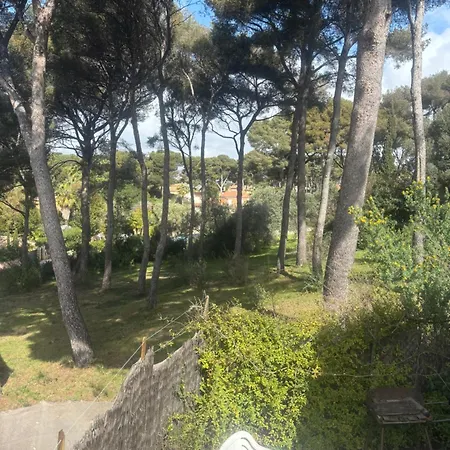 Le Nid Bleu Hébergement de vacances