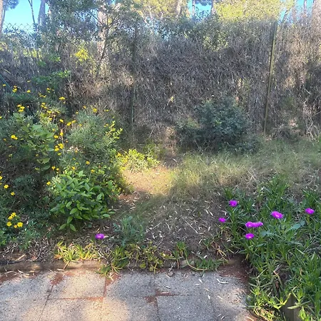 Le Nid Bleu 펜션 *