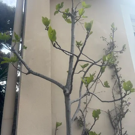 Le Nid Bleu 펜션