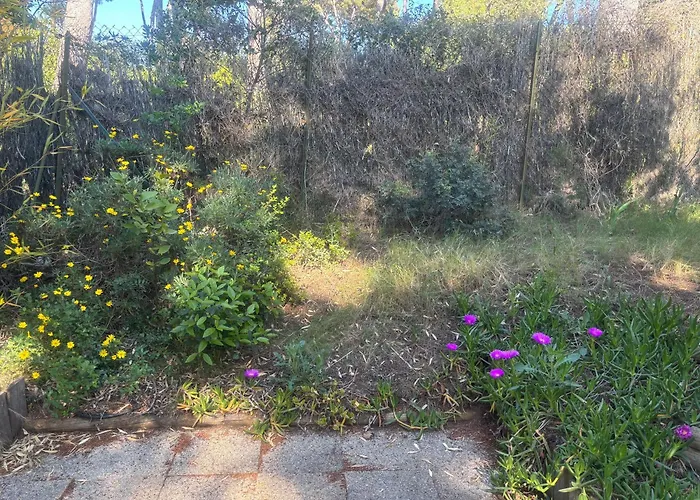 Le Nid Bleu 別荘 *